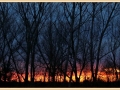 zonsondergang_8595_il-tramonto-scaled