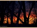 zonsondergang_8601_il-tramonto