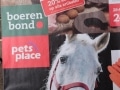 onderzoek zwarte piet